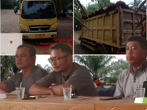 Terkini