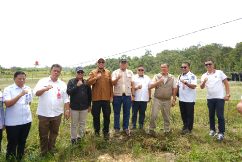 Hemat Anggaran Negara, Bupati Kuansing Gelar Rakor Pertanian di Saung Tani