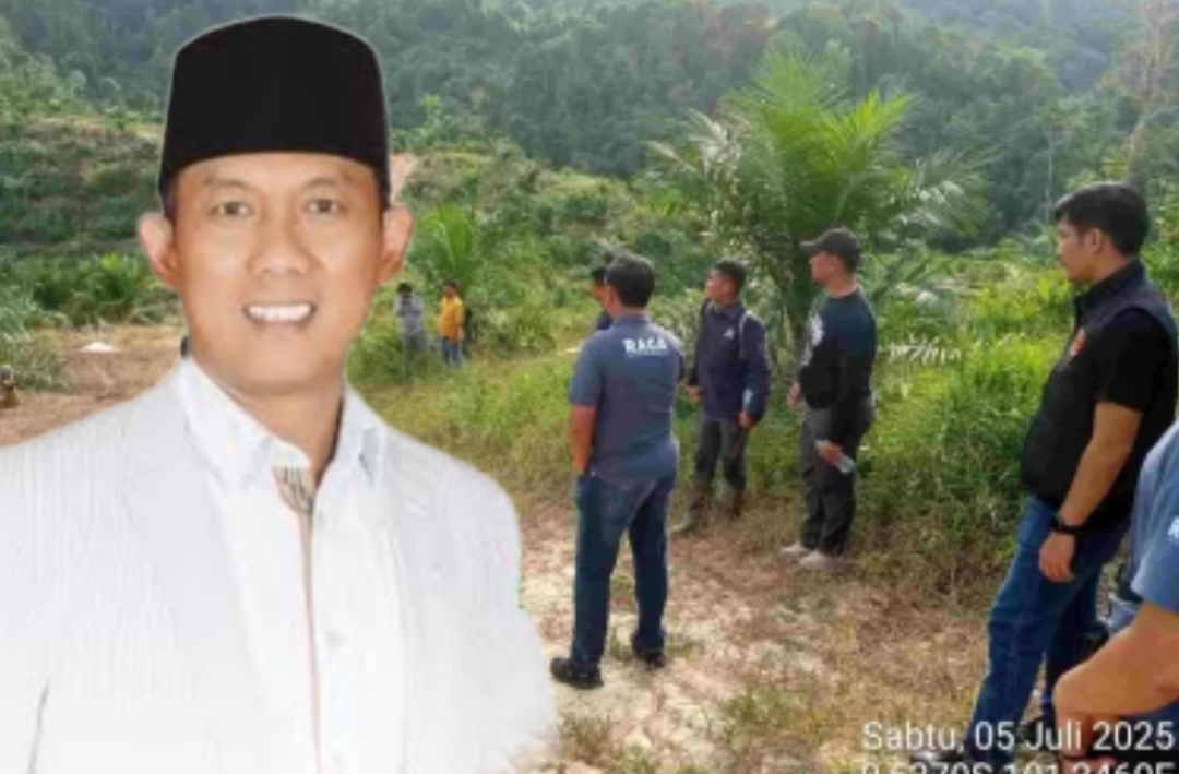 Ratusan Hektare Sawit Ilegal Disegel, Nama Kasir Anggota DPRD Riau Terseret