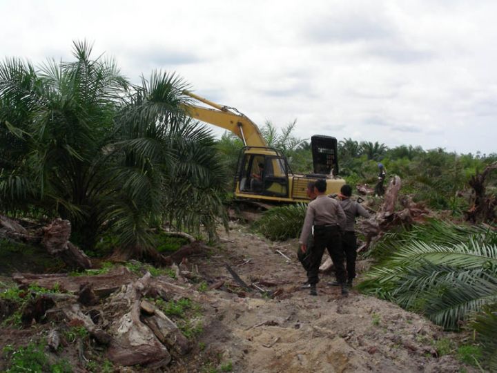 Negara Melawan Mafia Tanah: 400 Sertifikat di Kawasan TNTN Dicabut, Ribuan Lainnya Menyusul