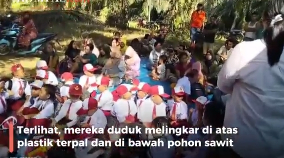 Tangis di Bawah Pohon Sawit: 58 Siswa SD Tesso Nilo Terpaksa Belajar Tanpa Sekolah