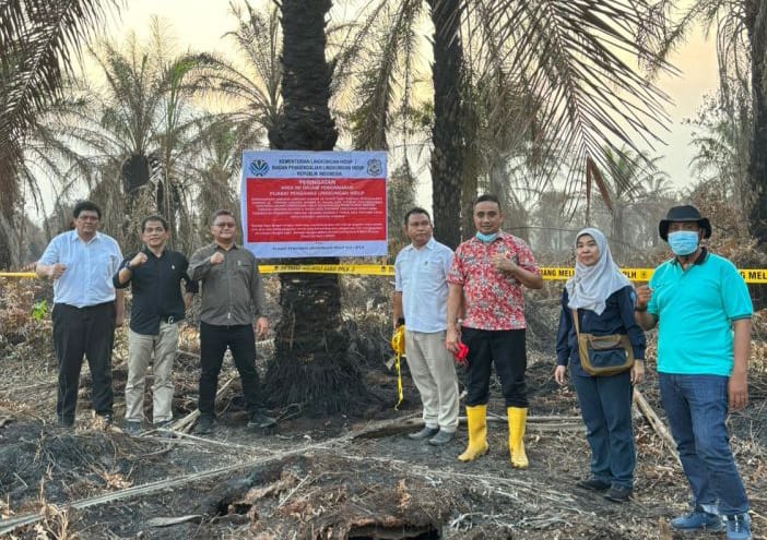 Tak Ada Ampun! KLHK Bekukan Pabrik Sawit & Konsesi yang Bakar Lahan