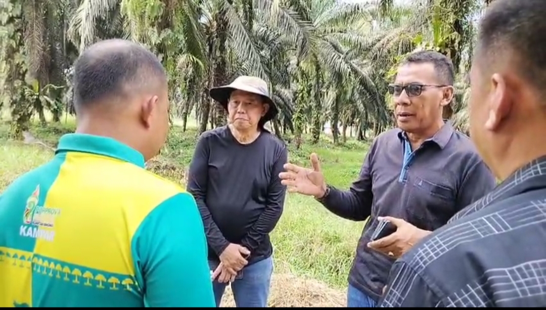 Ngaku Masih Punya Lahan, Eks Bos PT Ayau Diduga Coba Gertak Petani Pengelola Sah