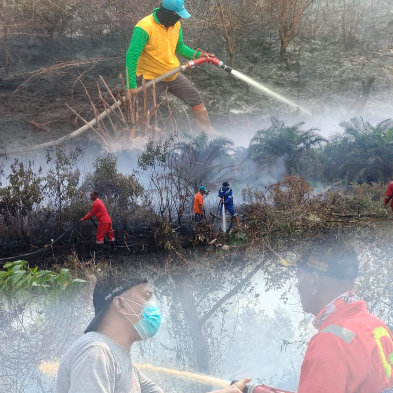 Api Mengamuk di Bukit Batrem, LPMK dan Warga Berjuang Tanpa Air - Arpan Marwazi Teriak Peringatan: Stop Bakar Lahan, Pemerintah Jangan Tutup Mata!