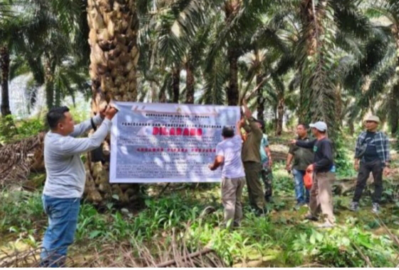 Diduga Garap Ribuan Hektare Hutan Lindung, PT ALM Disegel KPH Ketapang Selatan