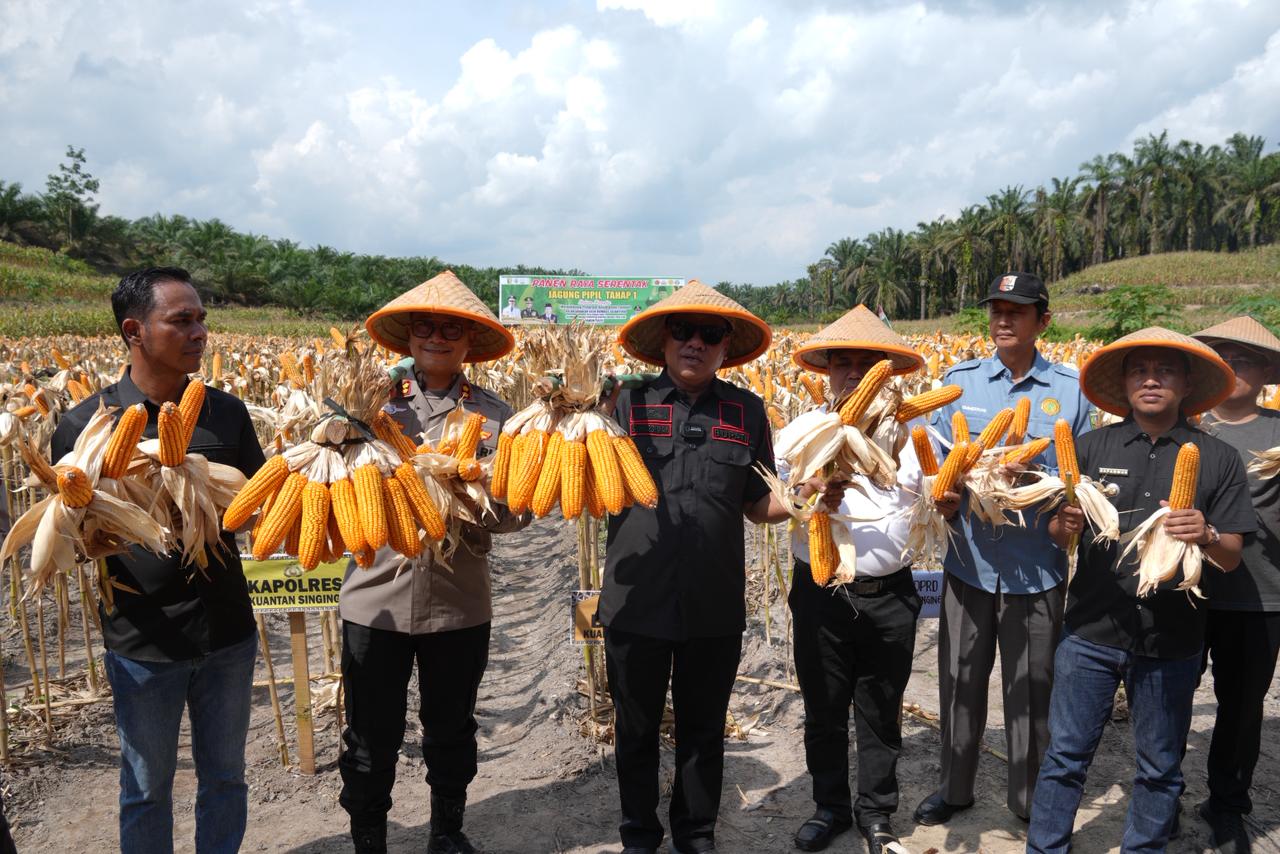 Dari Lahan 2 Ha, Hanya 2 Ton: Bupati Suhardiman Amby Minta Jadi Bibit untuk Swasembada Pangan