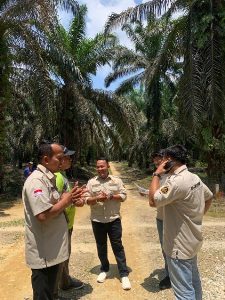 Dalil Runtuh di Meja Hijau, Kisah Kemenangan Warga Muara Langsat Pertahankan 62 Hektare Tanah Kebun Sawitnya